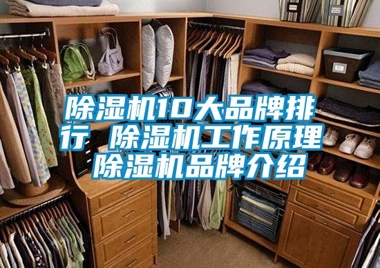 91香蕉视频官网机10大品牌排行 91香蕉视频官网机工作原理 91香蕉视频官网机品牌介绍