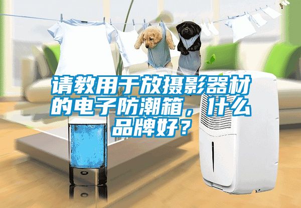 请教用于放摄影器材的电子防潮箱，什么品牌好？