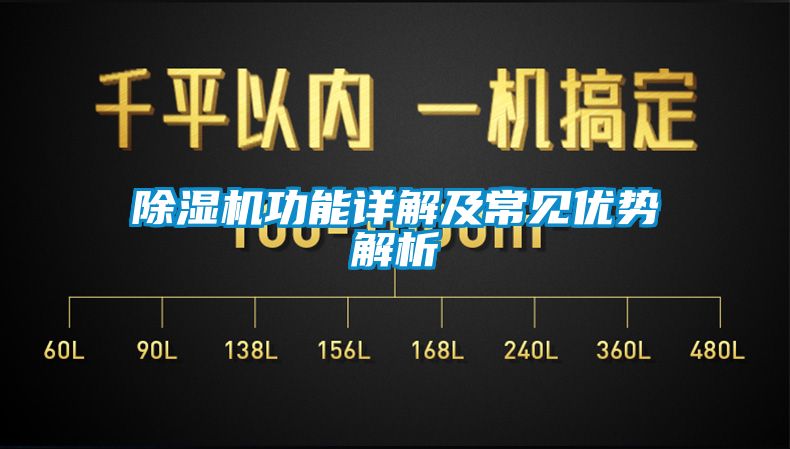 91香蕉视频官网机功能详解及常见优势解析