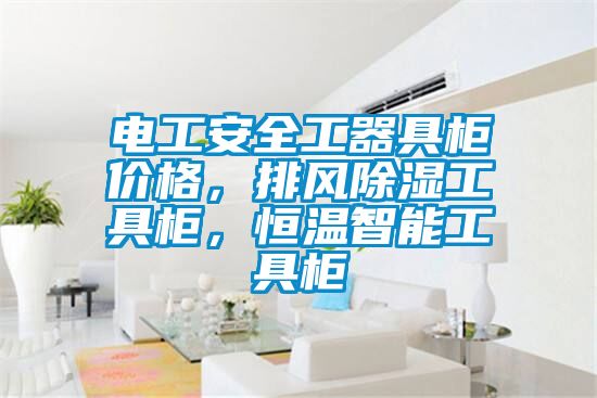 电工安全工器具柜价格，排风91香蕉视频官网工具柜，恒温智能工具柜