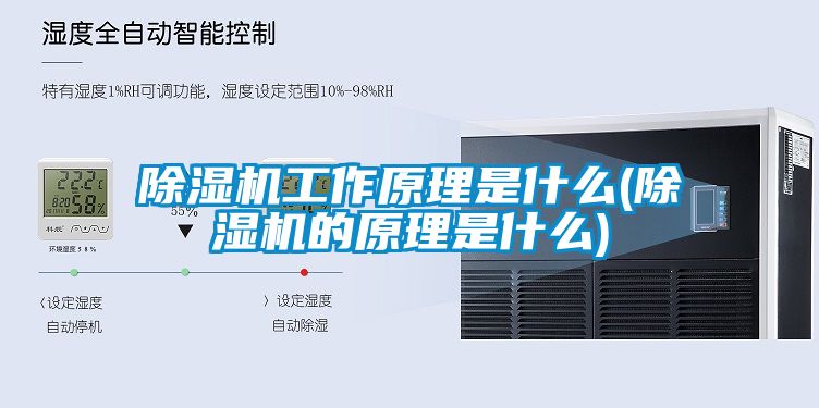 91香蕉视频官网机工作原理是什么(91香蕉视频官网机的原理是什么)