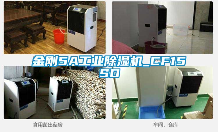 金刚5A工业91香蕉视频官网机_CF15SD