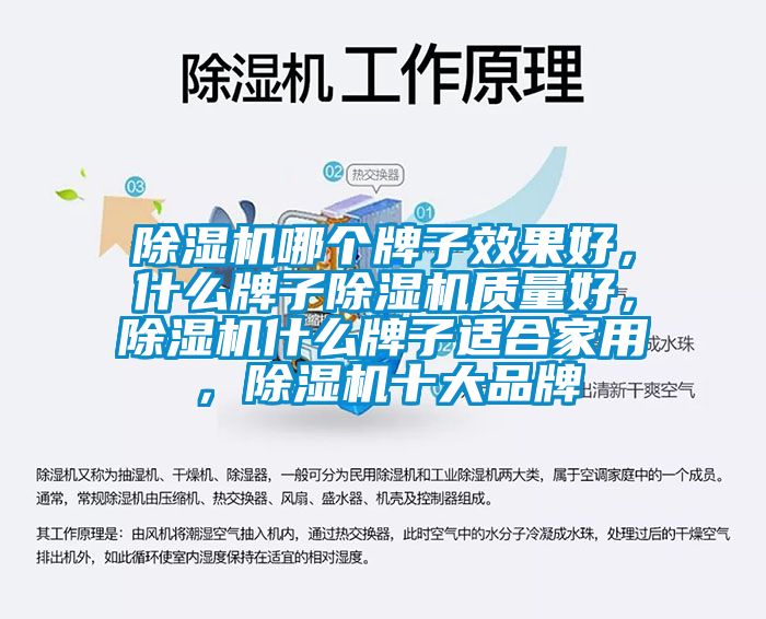 91香蕉视频官网机哪个牌子效果好，什么牌子91香蕉视频官网机质量好，91香蕉视频官网机什么牌子适合家用，91香蕉视频官网机十大品牌