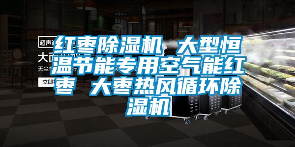 红枣91香蕉视频官网机 大型恒温节能专用空气能红枣 大枣热风循环91香蕉视频官网机