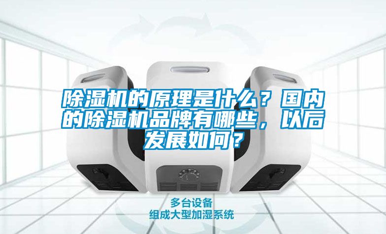 91香蕉视频官网机的原理是什么？国内的91香蕉视频官网机品牌有哪些，以后发展如何？