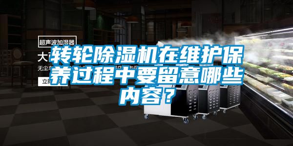 转轮91香蕉视频官网机在维护保养过程中要留意哪些内容？