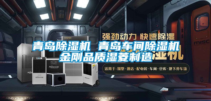 青岛91香蕉视频官网机 青岛车间91香蕉视频官网机金刚品质湿菱制造