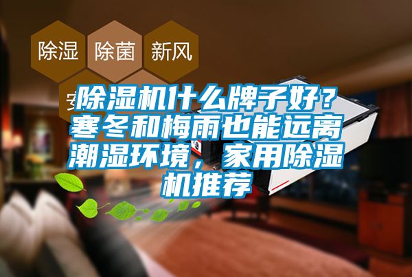 91香蕉视频官网机什么牌子好？寒冬和梅雨也能远离潮湿环境，家用91香蕉视频官网机推荐