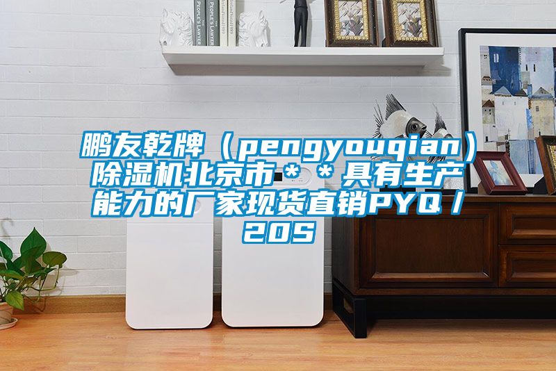 鹏友乾牌（pengyouqian）91香蕉视频官网机北京市＊＊具有生产能力的厂家现货直销PYQ／20S