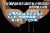 上海齐欣 LHS-250CAY 恒温恒湿箱 -20~85℃／250L